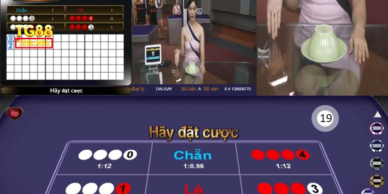 Khám phá trò chơi Xóc Đĩa TG88 hấp dẫn