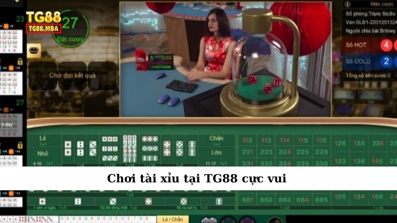 Chơi tài xỉu tại TG88 cực vui
