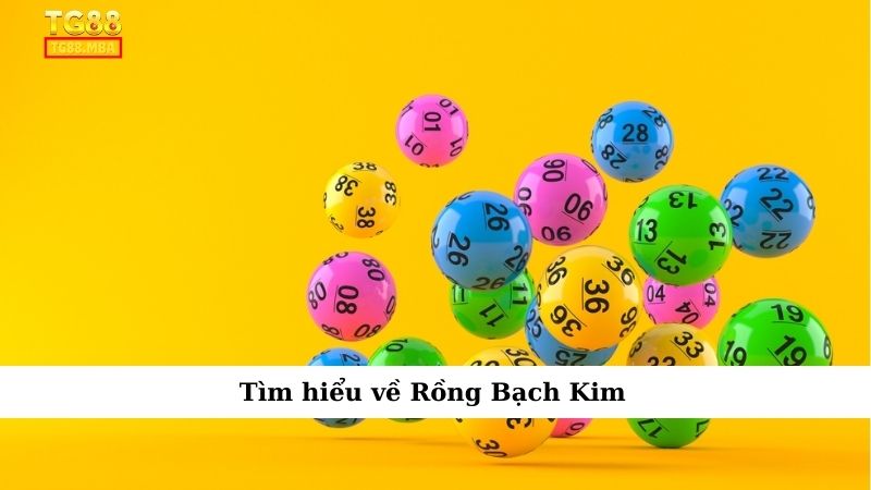 Tìm hiểu về Rồng Bạch Kim