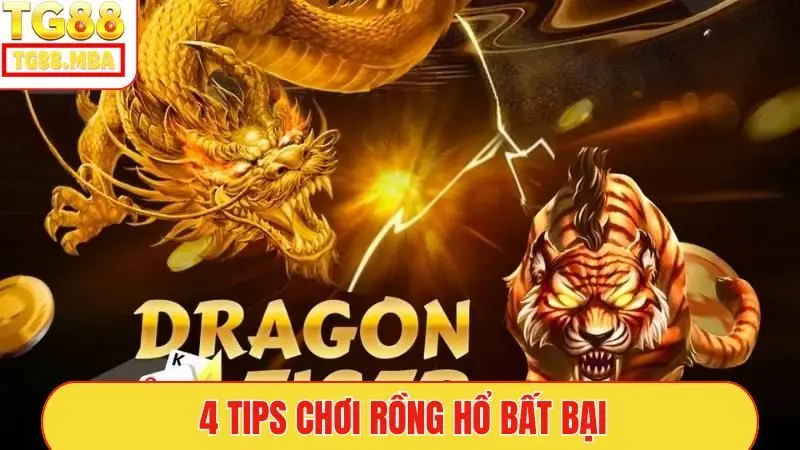 4 tips chơi Rồng Hổ bất bại